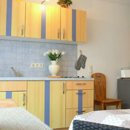 1-raum-appartement Mit Terrasse Nr. 4