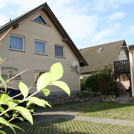 1-raum-appartement Mit Terrasse Nr. 4